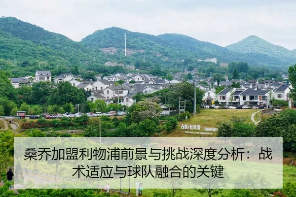 桑乔加盟利物浦前景与挑战深度分析：战术适应与球队融合的关键